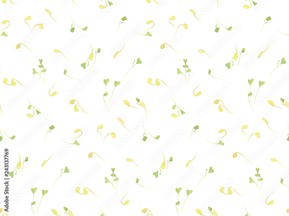 Radish and soy sprouts. Plants for salads. Useful greens. Salad of South Korea. Young sprouts daikon. Dietary products. Radish and soy sprouts. Plants for salads. Useful greens. Salad of South Korea. Young sprouts daikon. Dietary products.