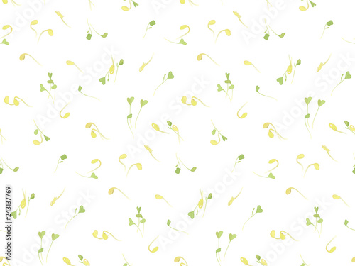 Radish and soy sprouts. Plants for salads. Useful greens. Salad of South Korea. Young sprouts daikon. Dietary products.