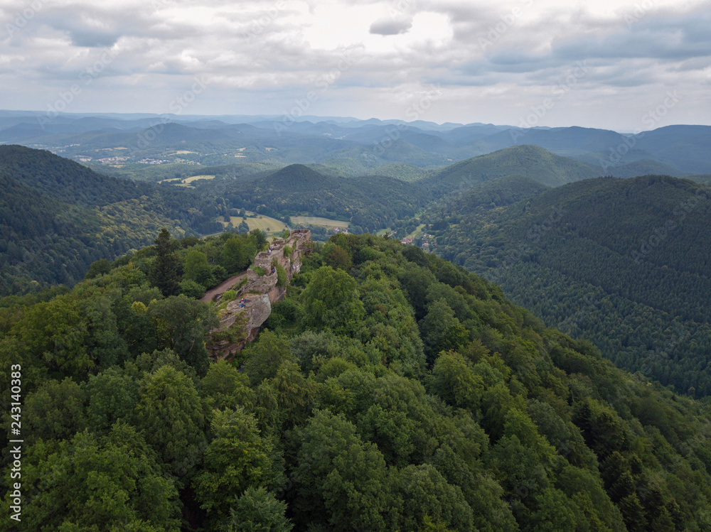 Castle Welgenburg palatine forest