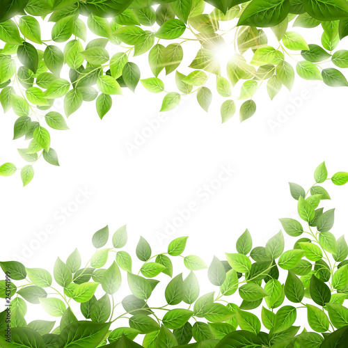 Wallpaper Mural Fresh season branches with green leaves. EPS 10 Torontodigital.ca