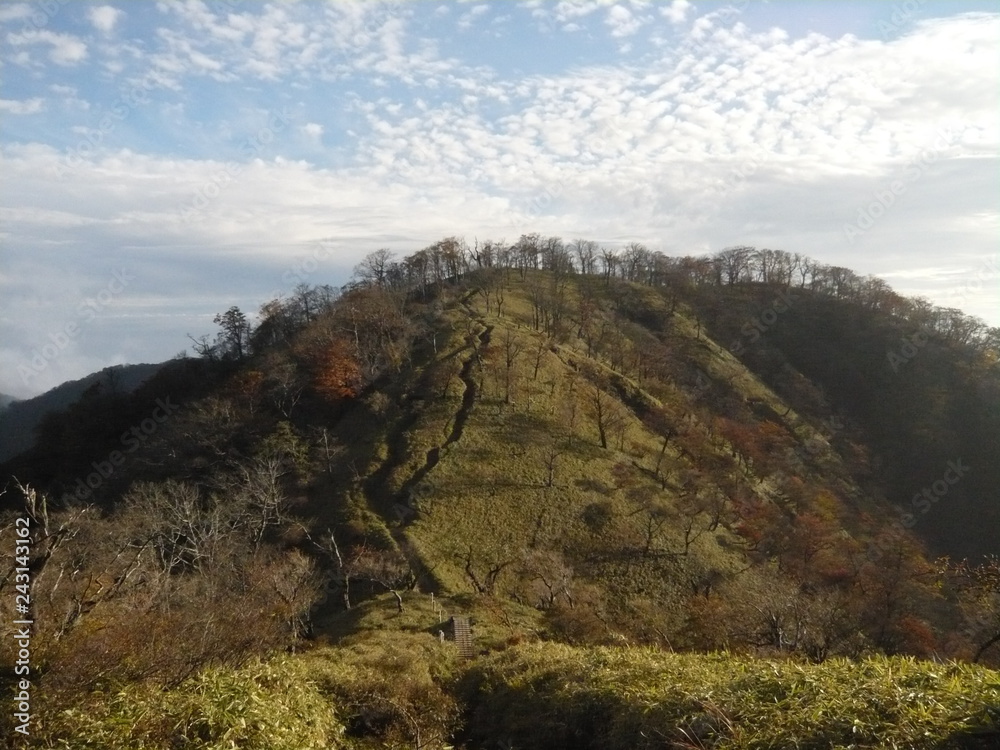 Fototapeta premium 晩秋の山