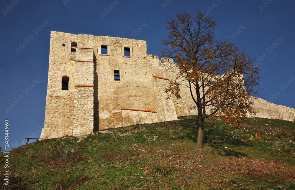 Castle ruins in Kazimierz Dolny. Poland