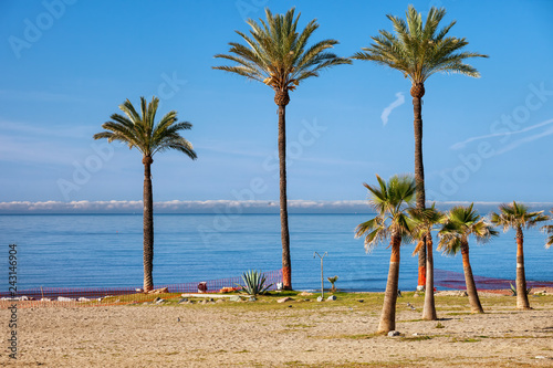 Palm Trees On Beach at Costa del Sol in Marbella