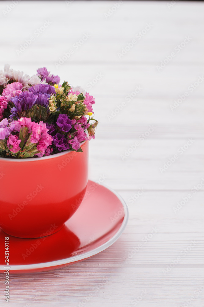 Statice mix color limonium sinuatum flowers. White wooden table background.