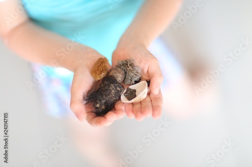 Top view on the little hands, macro, full of sea treasures.