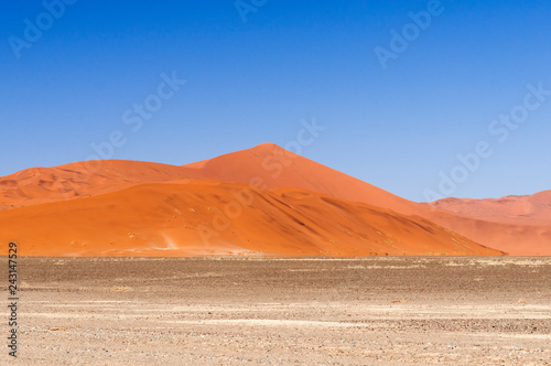 Dunes in the Namib desert / Dunes in the Namib desert, Namibia, Africa.