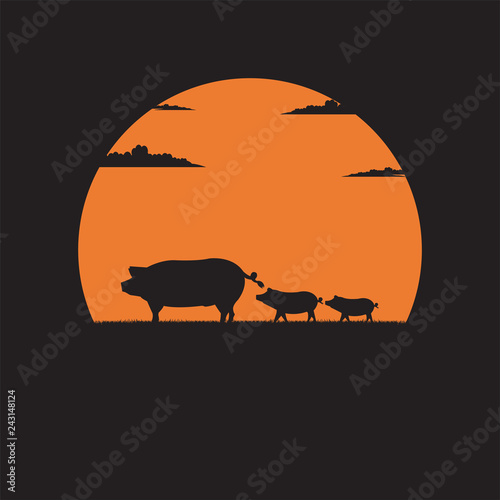 Silhouette mother Pig with little piglets walking on meadow of sunset background