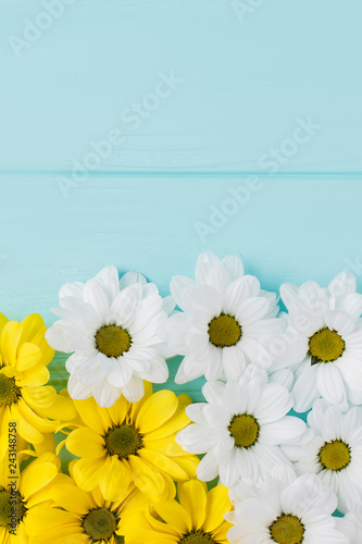 White and yellow golden-daisy flowers composition. Copyspace. Blue wood background.