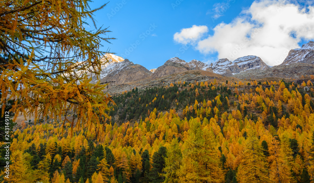 Dolomites Mountains, autumn landscape in the The Martello valley in South Tyrol in the Stelvio National Park, Alps, northern Italy, Europe. Beauty of nature concept background.