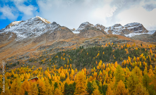 Dolomites Mountains, autumn landscape in the The Martello valley in South Tyrol in the Stelvio National Park, Alps, northern Italy, Europe. Beauty of nature concept background.