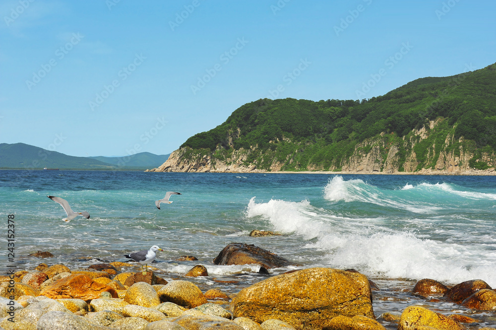 Fototapeta premium Nadmorski prąd / Seascape - Cieśnina Chikhachev na wschodnim wybrzeżu morza Japonii, Dalekiego Wschodu, Rosji