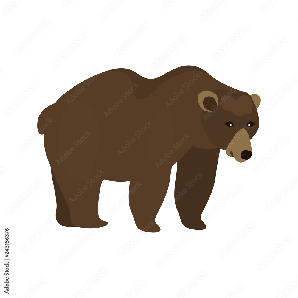animal flat color bear icon animal flat color bear icon
