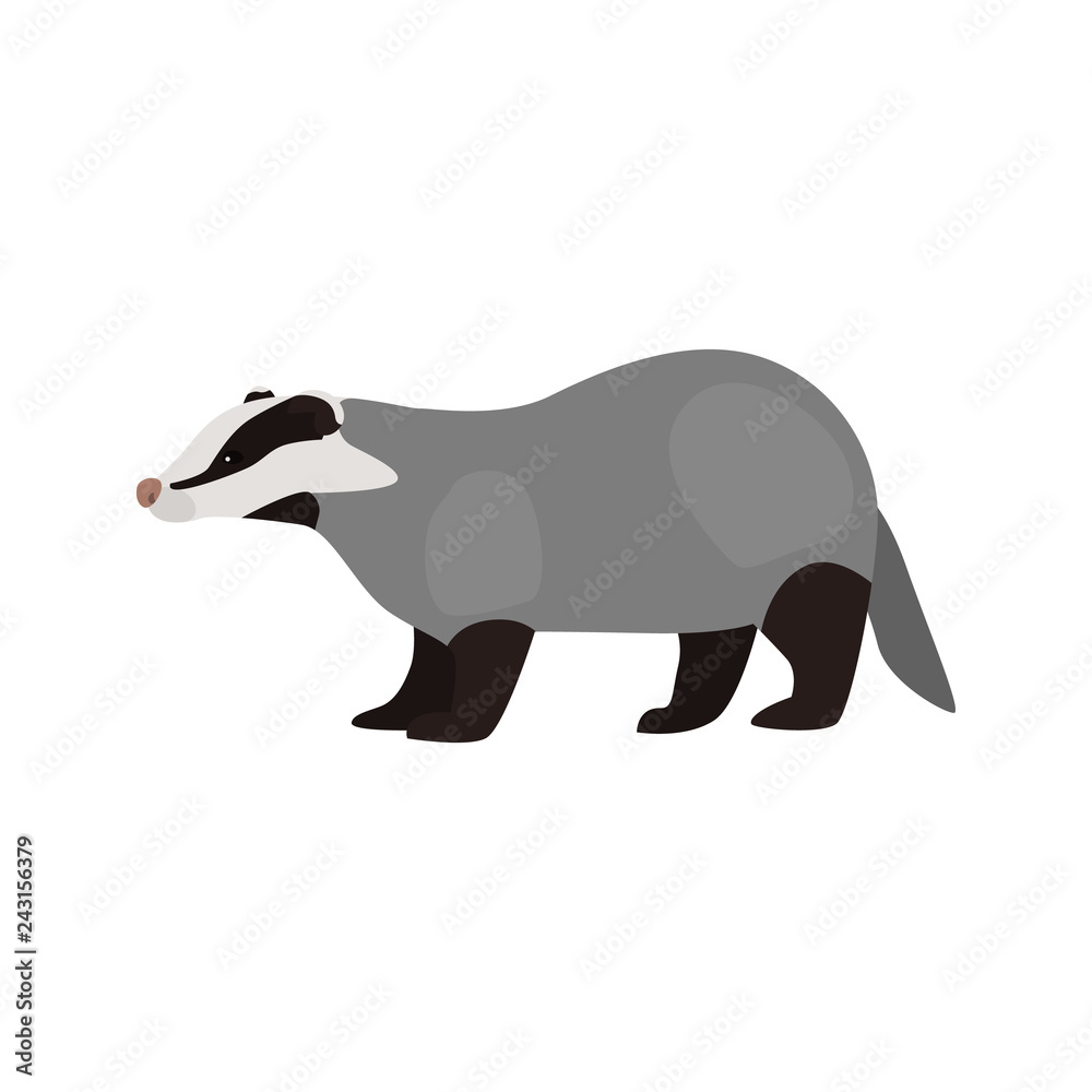 Fototapeta premium animal flat color borsuk icon