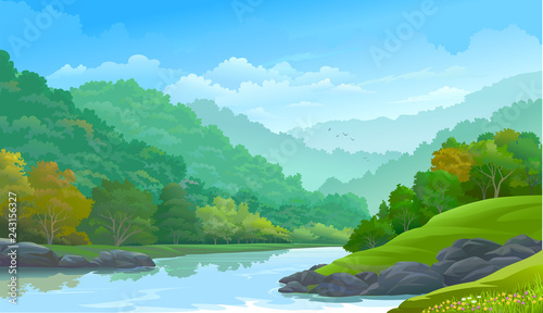 Dense green forest along side a river and a few rocks