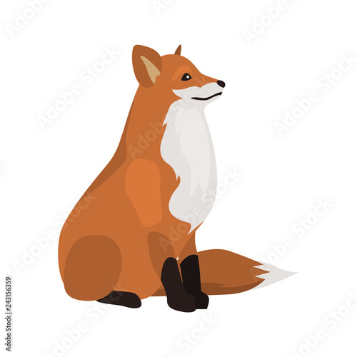 animal flat color fox icon
