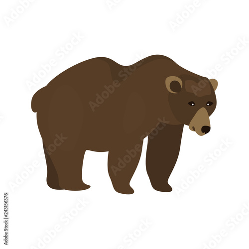 animal flat color bear icon