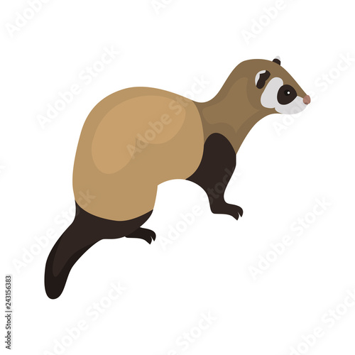 animal flat color ferret icon