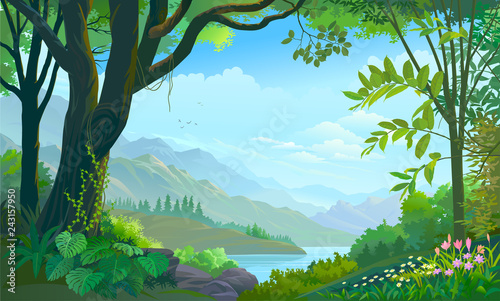 Tropical forest, big tree, plants and flowers, mountains and rivers.