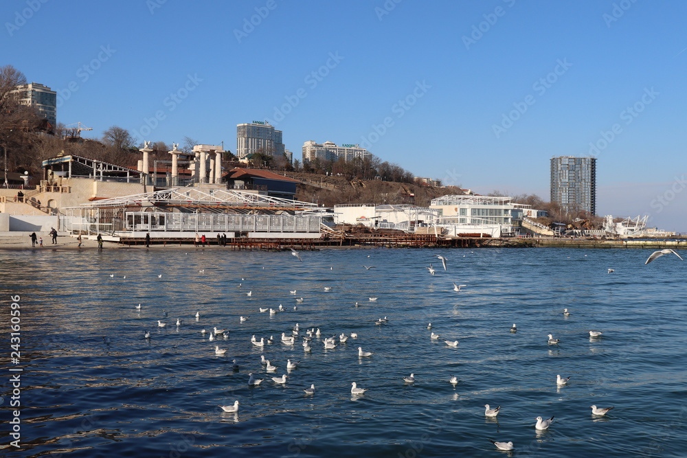 Naklejka premium Seagulls on the Black Sea 2