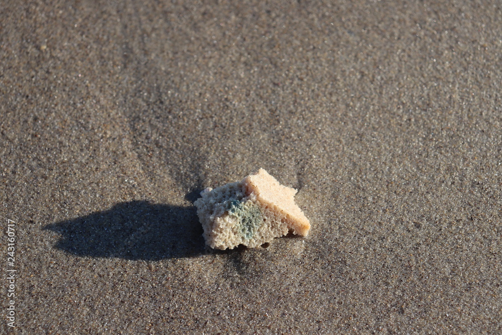 A slice of bread on the beach