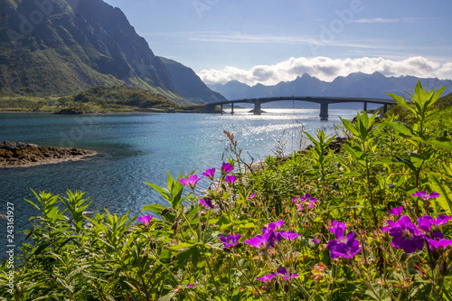 bridge on Vestvagoy island in Lofoten in Norway