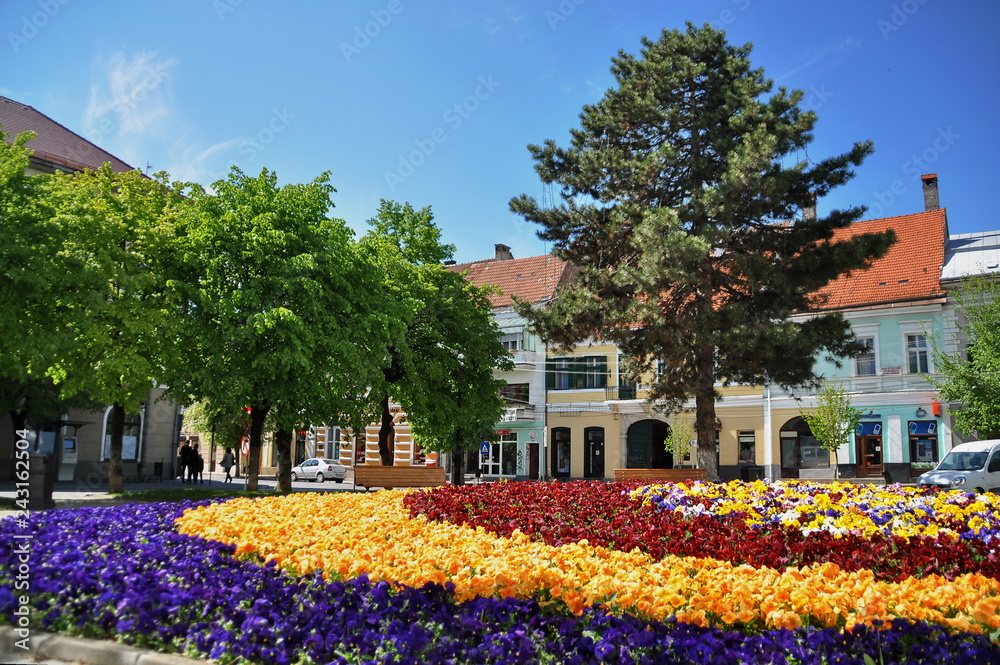 ROMANIA , Bistrita, Central Market and flowerbeds, 2014