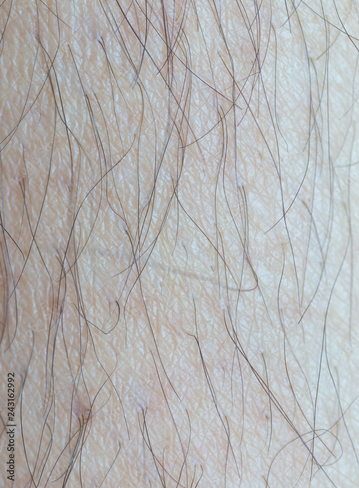 detail of human skin with hair, close-up detail of human skin with hair, close-up