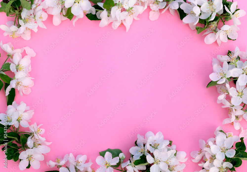 Spring blooming branches on pink background. Natural background. Love, valentine's day.