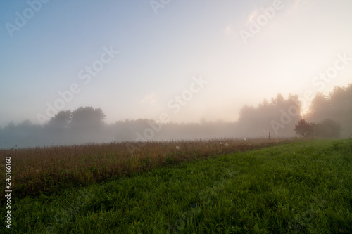 Grassland field landscape at foggy morning