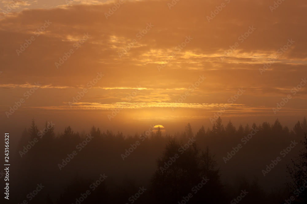 Early foggy morning sunrise above forest landscape