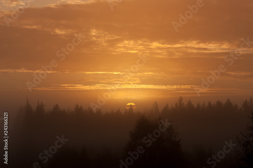 Early foggy morning sunrise above forest landscape