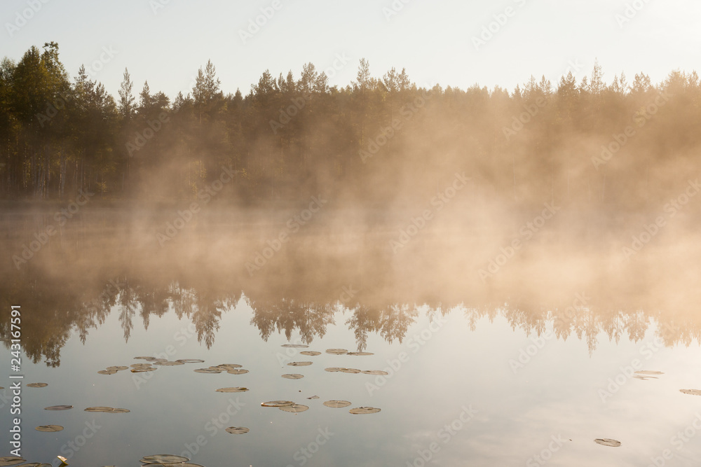 Fototapeta premium Forest lake landscape summer sunrise in Finland