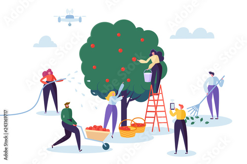 Farmer Pick Apple Harvest to Basket. Woman Character Harvesting Ripe Fruit from Green Organic Tree. Man Control Farm with Drone. Country Garden Landscape Flat Cartoon Vector Illustration