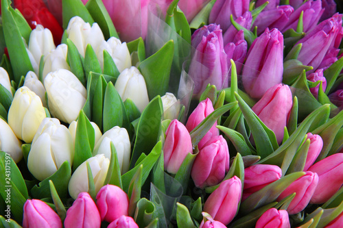 Assortment of bouquets of colorful tulips in a farmers market