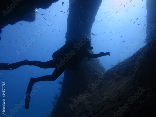 Tunel Diver