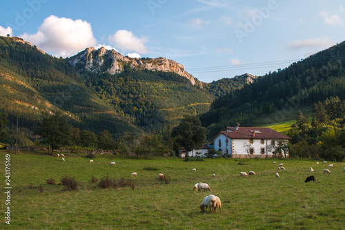 Urkulu reservoir and its rural area, in Aretxabaleta, Basque Country. photo