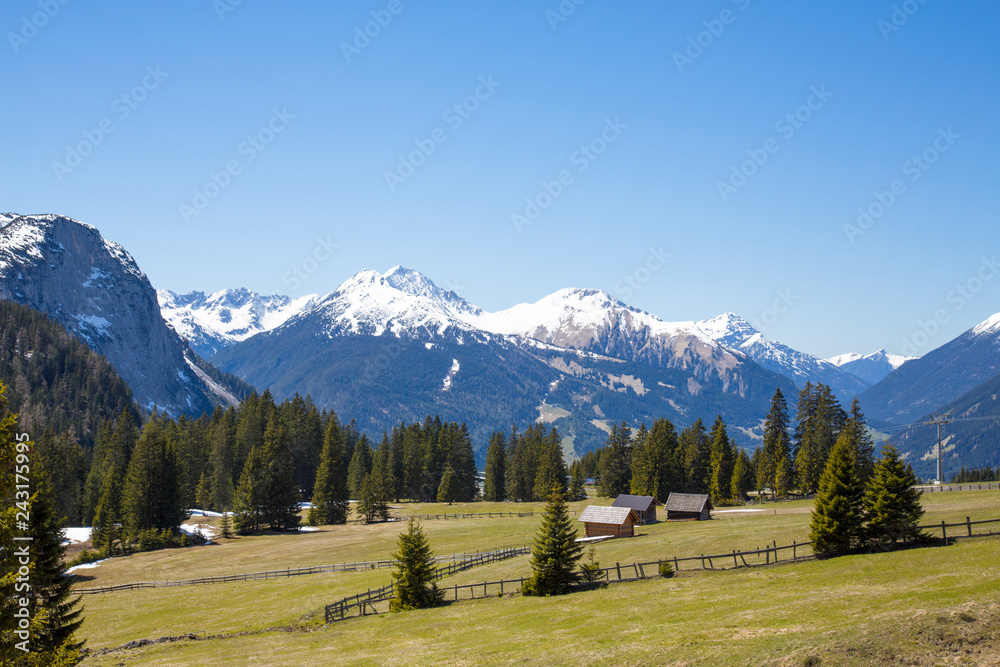 Lush green alp meadow with pine tree forests and view on the Zugspitze mountain, Ehrwald, Austria.