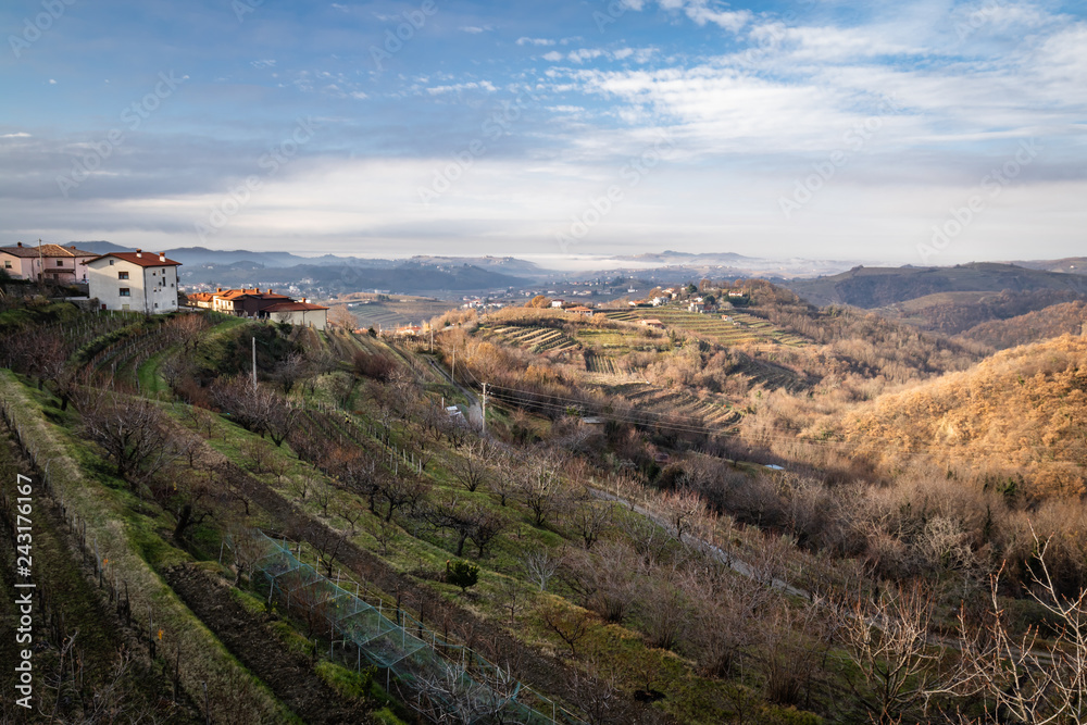 beautiful vineyard terraces in goriska brda in wintertime sunlight, slovenia beautiful vineyard terraces in goriska brda in wintertime sunlight, slovenia