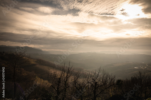 beautiful vineyard terraces in goriska brda in wintertime sunlight, slovenia