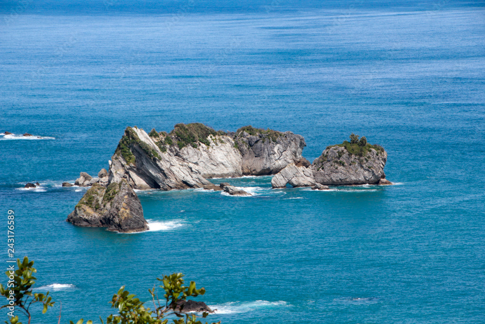 Fototapeta premium Ocean Shores In New Zealand