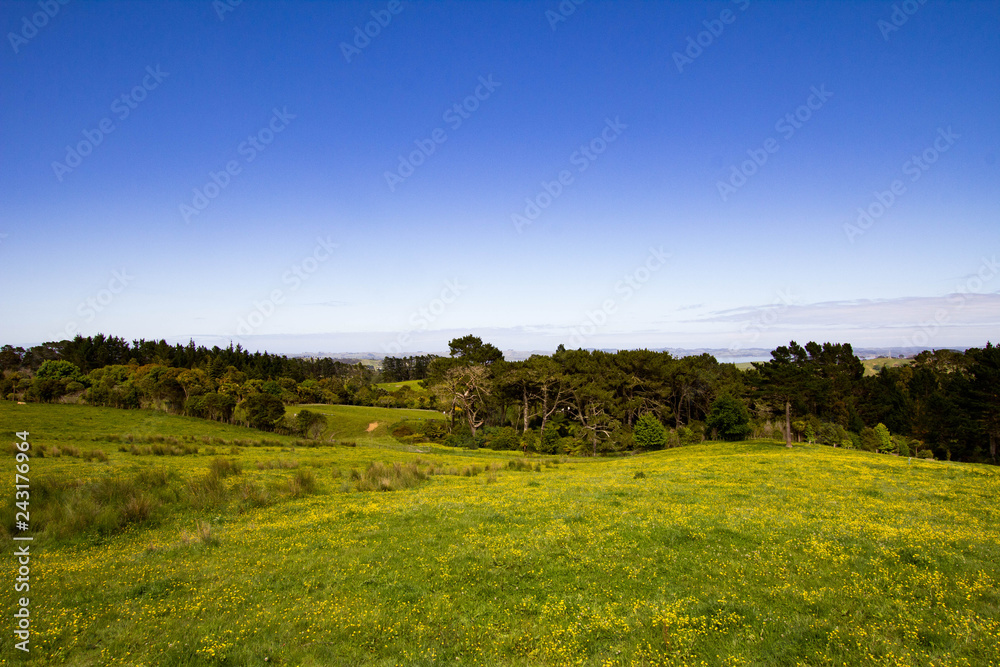 Scenery of New Zealand