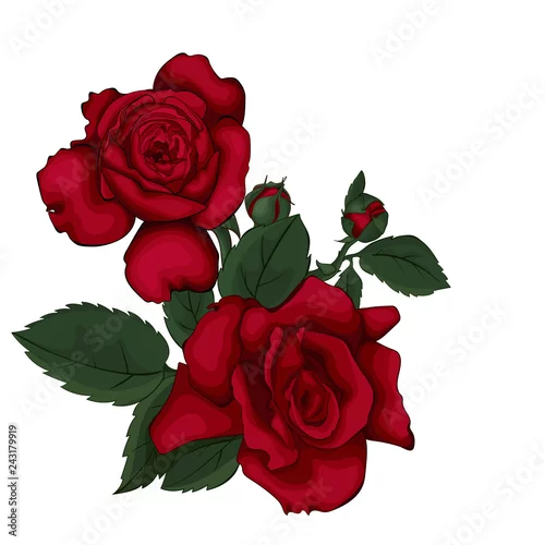 Naklejka na ścianę Czerwone róże.