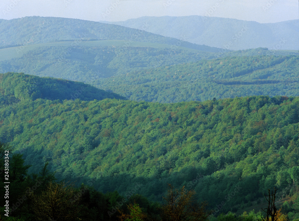 Fototapeta premium Magurski National Park, Beskid Niski, Poland