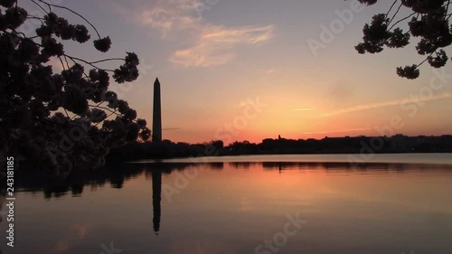 The National Cherry Blossom Festival is a spring celebration in Washington, D.C., commemorating the March 27, 1912, gift of Japanese cherry trees from Mayor Yukio Ozaki of Tokyo City to the city of Wa photo