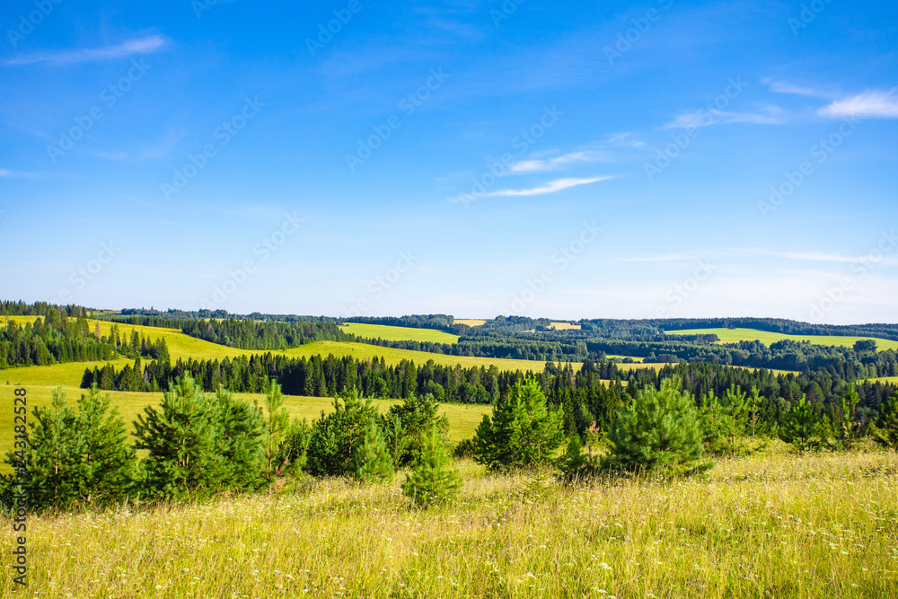 Beautiful summer landscape with plow and forest on a sunny day