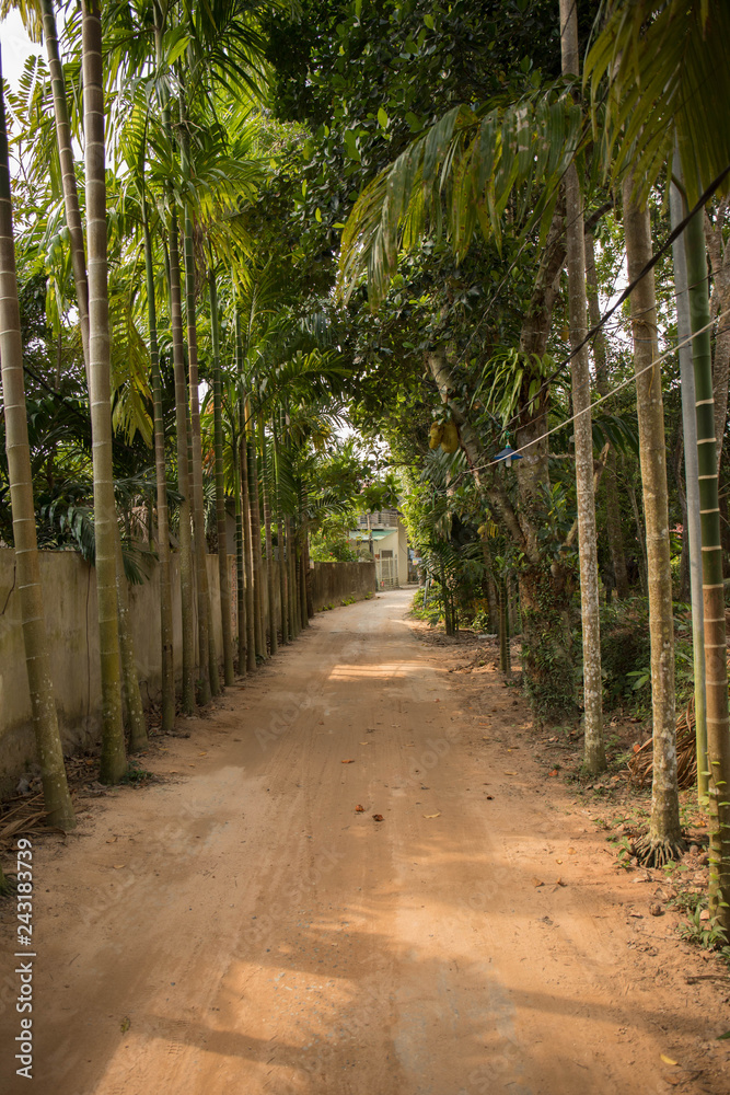 A road of sand on an Asian island A road of sand on an Asian island