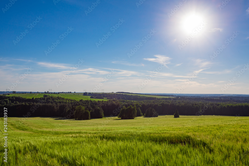 Beautiful summer landscape with plow and forest on a sunny day