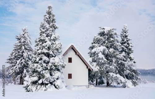 Winter scene house and snow pine trees