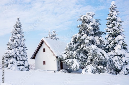 Winter scene, rural house and snow pine trees © disq