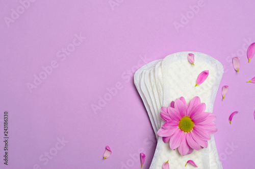 Woman's Sanitary Pads and Gerbera Daisy Flower, Feminine Hygiene Concept photo